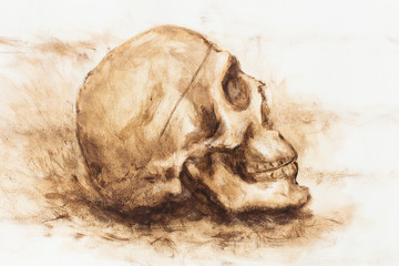 Fototapeta premium skull painting on paper. Ochre color skull. 
