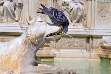 Fountain of joy - a medieval marble fountain in Siena. Panel Fonte Gaia, Piazza del Campo, Siena, Tuscany, Italy
