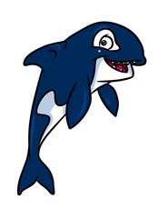 Killer Whale cartoon illustration isolated image animal character
