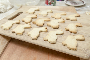Baked Cookies in the Kitchen