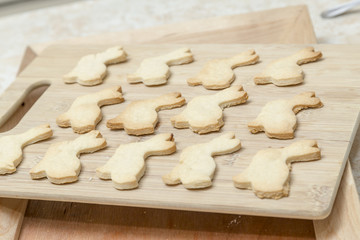 Baked Cookies in the Kitchen