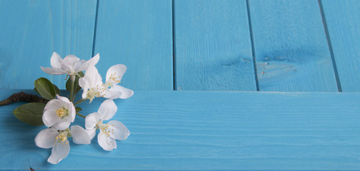 flowers on wooden board