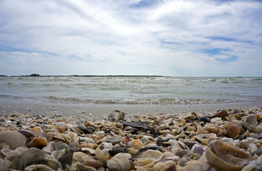 Fototapeta na wymiar Seashells, waves, and cloudy blue sky