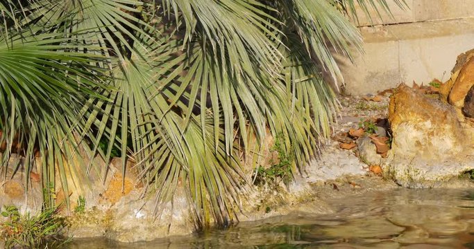 sunny day park de la ciutadella fountain water close up 4k spain
