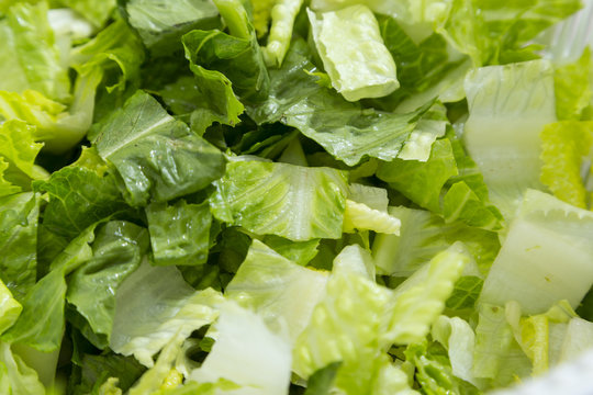Cutting Lettuce for Salad at Home