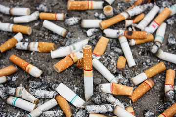 cigarette butts in ash tray