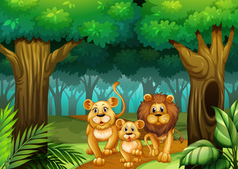 Lion family living in the forest