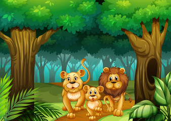 Naklejka premium Lion family living in the forest