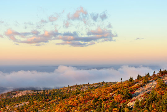 Mountain View of Trees in Autumn with Fog at Sunrise