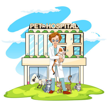 Vet and cats at pet hospital