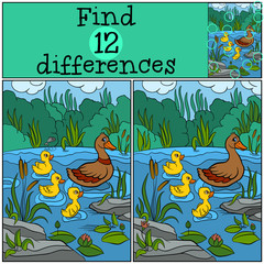 Children games: Find differences. Duck and ducklings on the lake.