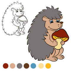 Coloring page. Color me: Hedgehog. Little cute hedgehog stands and holds a mushroom in the paw. 