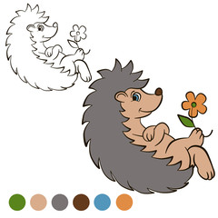 Coloring page. Color me: Hedgehog. Little cute hedgehog lays and holds a flower in the paws.