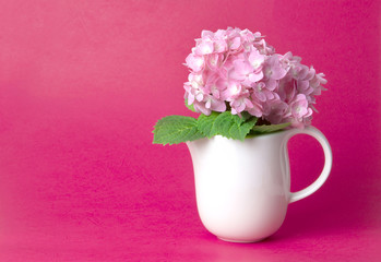 sweet  pink hydrangea flowers in white vase  on red background