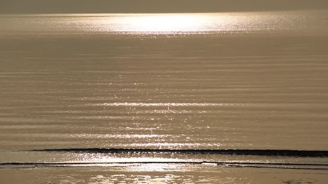 夕日に輝く波打ち際