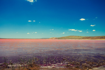 Pink lake