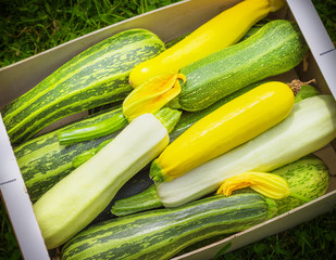 Fresh healthy green zucchini courgettes cucumber in brown wooden box