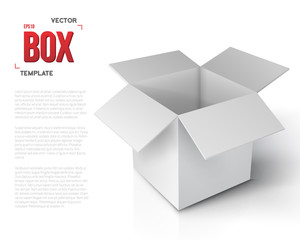 Realistic Vector Open Package Box. Vector Paper Open Box Isolate