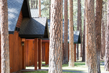 Rustic cabins outdoors in forest,