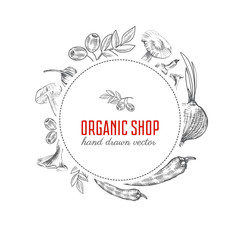 Ink hand drawn design with mushrooms, peppers, parsley and onion, Vector illustration with organic vegetables sketch isolated on white,background, Vintage template, Perfect for farm market advertising