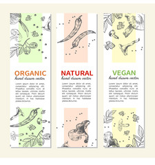 Set of banners with hand drawn mushrooms, peppers, parsley and onion, Natural ingredients, Vector illustration Perfect for farm market advertising, bio product business and agricultural industry, menu