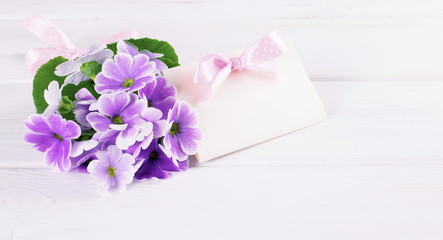 Bouquet of violet primroses and paper greeting card