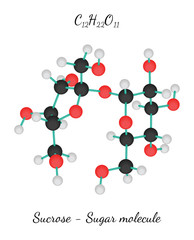 C12H22O11 Sucrose sugar molecule