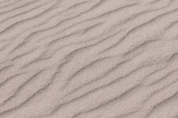 Fototapeta na wymiar Beautiful wave patterns found in a sand dune. Background or texture.