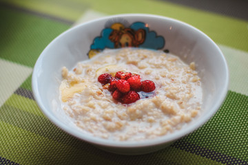Healthy Homemade Oatmeal with Berries for Breakfast  