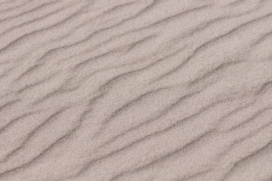 Beautiful wave patterns found in a sand dune. Background or texture.