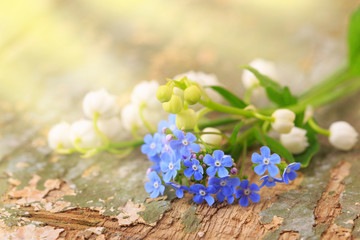 Frühlingsblumen - Vergissmeinnicht und Maiglöckchen auf verwittertem Holz