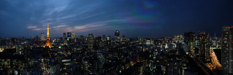 Naklejka premium 東京夜景スカイライン