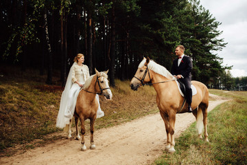 beautiful fabulous happy bride and stylish groom riding horses and lovely looking each other on the background of the autumn forest