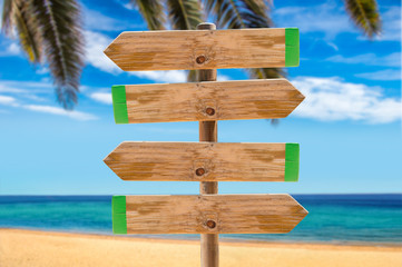 signpost on the beach palm