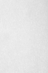 white canvas texture