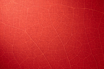 Fototapeta premium red abstract background