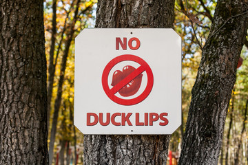The plate of No duck lips in autumn park, the sign