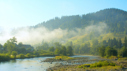 beautiful summer morning in Carpathian Mountains , Ukraine.