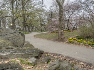 Central Park, New York City spring