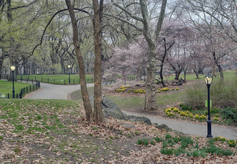 Central Park, New York City spring