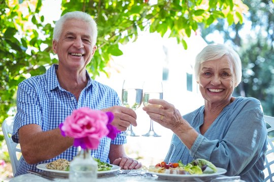 Smiling senior couple toasting white wine - Powered by Adobe