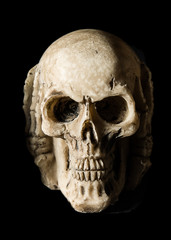 skull
