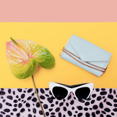 Fashion Accessories Season. Stylish sunglasses and purse. Vanill