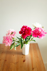 Peonies