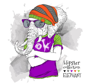 Illustration of elephant hipster dressed up in t-shirt, pants and  in the glasses and headphones. Vector illustration.