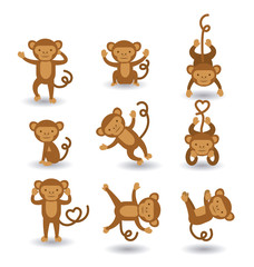 cute monkey  design