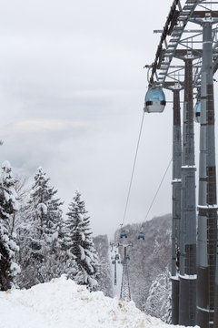 Cable cars going up and down mountain on the background of gray sky and snowy fir trees.