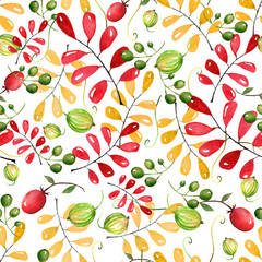 Красные и желтые листья, ягоды, крыжовник, виноград на белом фоне акварелью