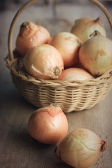 Onion