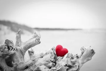 Rotes Herz in einem Baumstamm am Strand... Liebessymbol. Rot gegen Schwarz und Weiß © Photocreo Bednarek